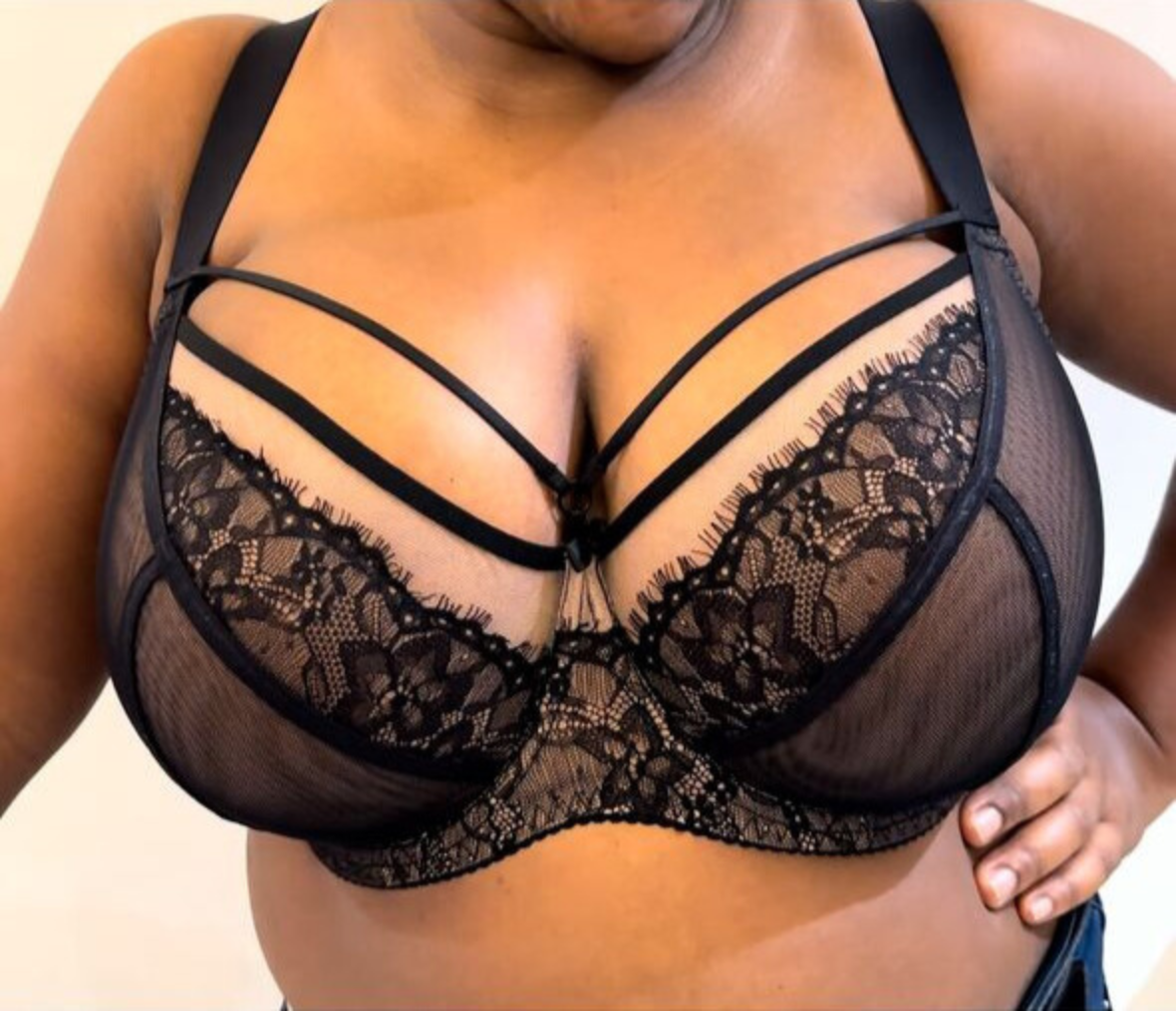 Harness Lace Bra